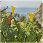 La Cabana - Monterosso al Mare Cinque Terre Liguria Italia